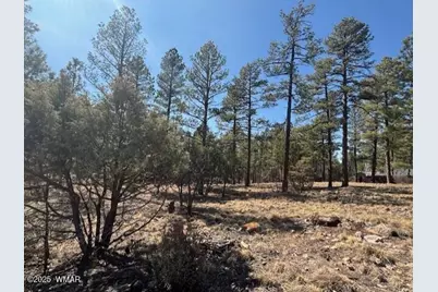 4790 W Hawthorn Road, Show Low, AZ 85901 - Photo 5