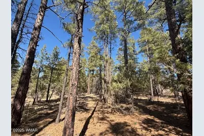 4790 W Hawthorn Road, Show Low, AZ 85901 - Photo 3
