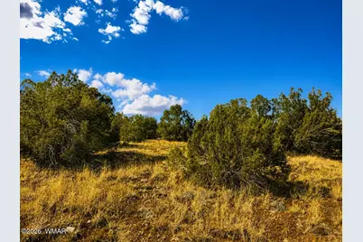 8595 Bobcat Drive, Show Low, AZ 85901 - Photo 5