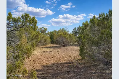 8595 Bobcat Drive, Show Low, AZ 85901 - Photo 7