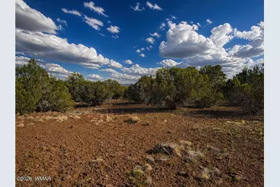 8595 Bobcat Drive, Show Low, AZ 85901 - Photo 9