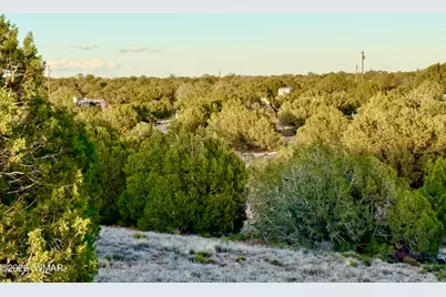 4428 Colt Road, Snowflake, AZ 85937 - Photo 15