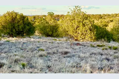 4428 Colt Road, Snowflake, AZ 85937 - Photo 19