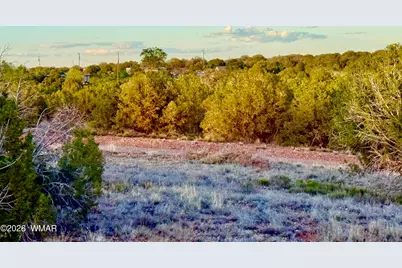 4428 Colt Road, Snowflake, AZ 85937 - Photo 7