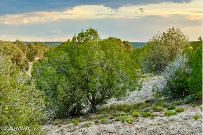 4428 Colt Road, Snowflake, AZ 85937 - Photo 3