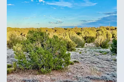 4428 Colt Road, Snowflake, AZ 85937 - Photo 21