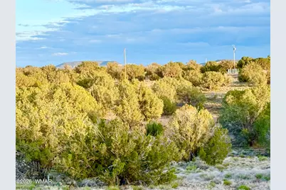 4428 Colt Road, Snowflake, AZ 85937 - Photo 17