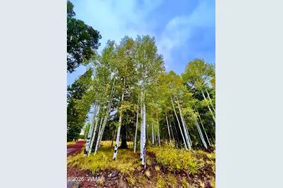 5271 Bridle Trail Circle, Pinetop, AZ 85935 - Photo 63
