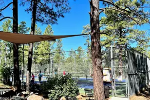 5271 Bridle Trail Cir, Pinetop, AZ 85935 - Photo 57
