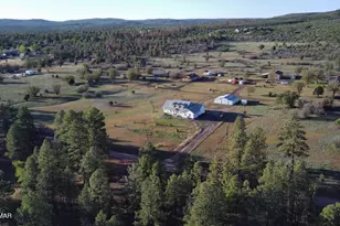5325 Pinedale Wash Rd, Pinedale, AZ 85934 - Photo 29