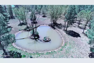 1321 S Woodland Road, Lakeside, AZ 85929 - Photo 9