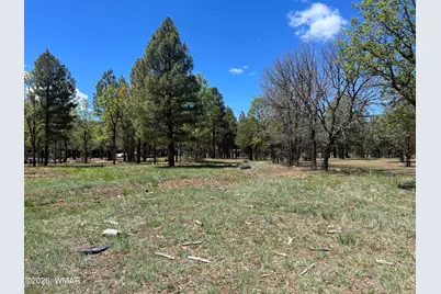 1321 S Woodland Road, Lakeside, AZ 85929 - Photo 3