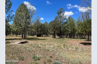 1321 S Woodland Road, Lakeside, AZ 85929 - Photo 5