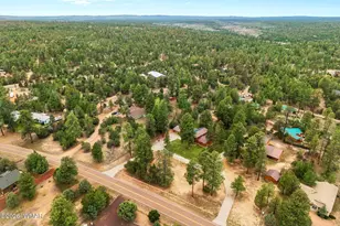 2922 Pine Rim Rd, Overgaard, AZ 85933 - Photo 53
