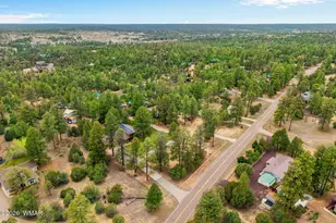 2922 Pine Rim Rd, Overgaard, AZ 85933 - Photo 51
