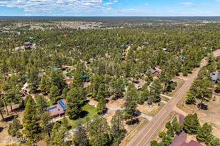2924 Pine Rim Rd, Overgaard, AZ 85933 - Photo 39
