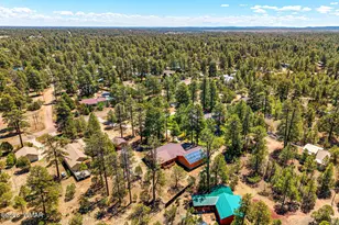 2924 Pine Rim Rd, Overgaard, AZ 85933 - Photo 41