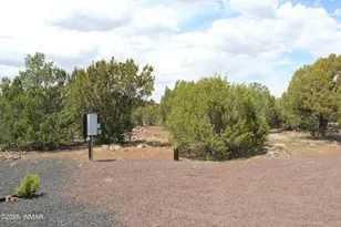 28 County Road N3099, Vernon, AZ 85940 - Photo 23