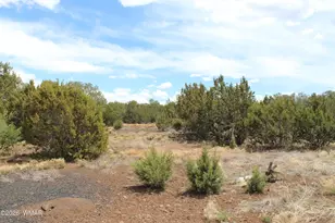 28 County Road N3099, Vernon, AZ 85940 - Photo 25