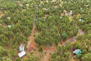 5353 Branding Iron Loop, Pinetop, AZ 85935 - Photo 77