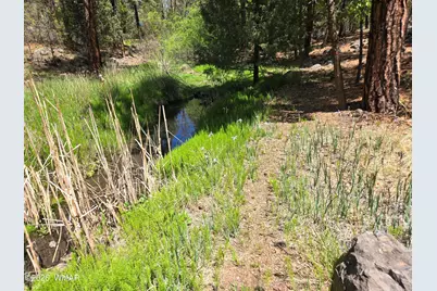 1500 W Walnut Creek Trail, Lakeside, AZ 85929 - Photo 23