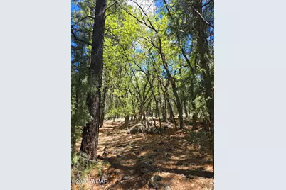 1500 W Walnut Creek Trail, Lakeside, AZ 85929 - Photo 21