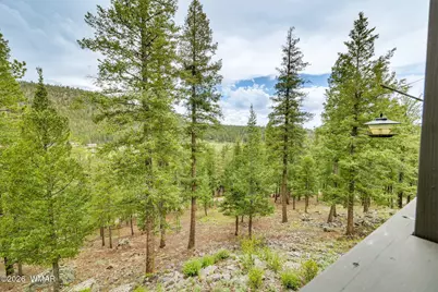 1 Cr 1320, Greer, AZ 85927 - Photo 35