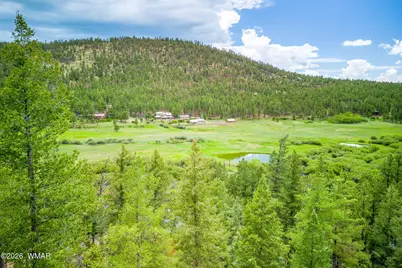 1 Cr 1320, Greer, AZ 85927 - Photo 27