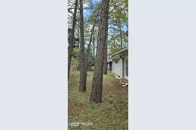 5084 Sherwood Drive, Lakeside, AZ 85929 - Photo 7