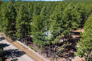 2813 Summer Dr, Lakeside, AZ 85929 - Photo 5