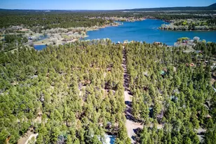 2813 Summer Dr, Lakeside, AZ 85929 - Photo 3