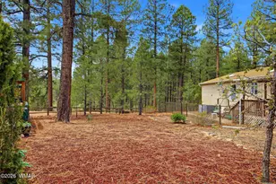 2360 W Pioneer Ct, Show Low, AZ 85901 - Photo 33