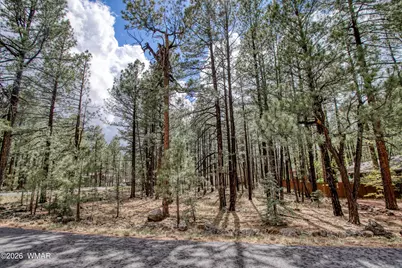 7030 Madison Ln Cir, Pinetop, AZ 85935 - Photo 7