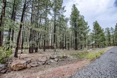 7030 Madison Ln Cir, Pinetop, AZ 85935 - Photo 1