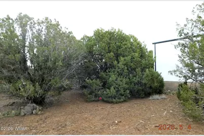 8333 Ridge Drive, Show Low, AZ 85901 - Photo 5
