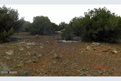 8333 Ridge Drive, Show Low, AZ 85901 - Photo 3