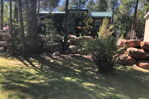 3890 S Mule Skinner Loop, Show Low, AZ 85901 - Photo 29
