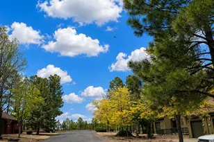 3170 E Rainbow Ln, Pinetop, AZ 85935 - Photo 31