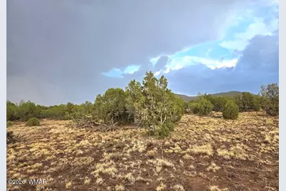 Lot 9 Pinon Valley Ranch, Concho, AZ 85924 - Photo 11