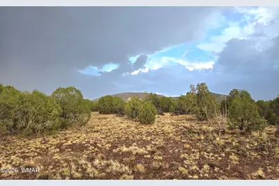 Lot 9 Pinon Valley Ranch, Concho, AZ 85924 - Photo 1
