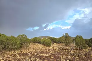 Lot 9 Pinon Valley Ranch, Concho, AZ 85924 - Photo 1