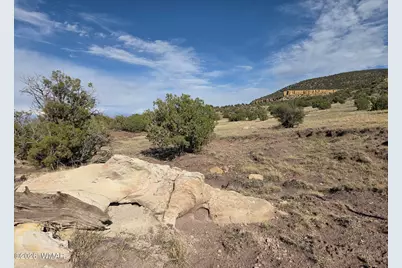 Lot 9 Pinon Valley Ranch, Concho, AZ 85924 - Photo 13