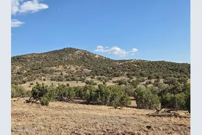 Lot 9 Pinon Valley Ranch, Concho, AZ 85924 - Photo 15
