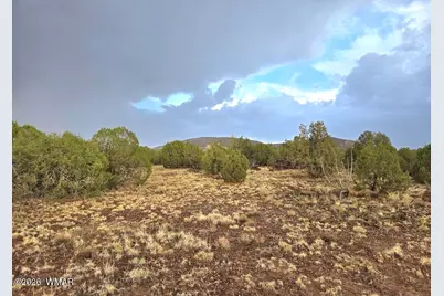 Lot 9 Pinon Valley Ranch, Concho, AZ 85924 - Photo 9