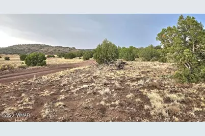 Lot 9 Pinon Valley Ranch, Concho, AZ 85924 - Photo 7