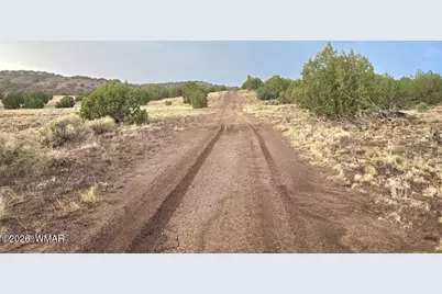 Lot 9 Pinon Valley Ranch, Concho, AZ 85924 - Photo 5