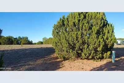 7032 Stagecoach Pass, Show Low, AZ 85901 - Photo 9