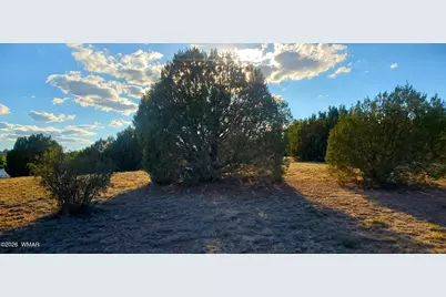 7032 Stagecoach Pass, Show Low, AZ 85901 - Photo 5