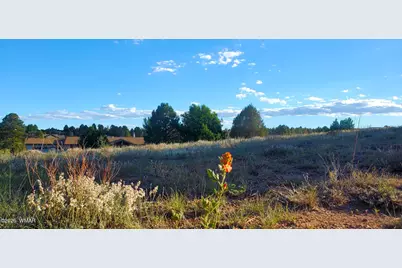 7032 Stagecoach Pass, Show Low, AZ 85901 - Photo 7