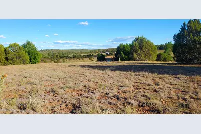 7032 Stagecoach Pass, Show Low, AZ 85901 - Photo 13